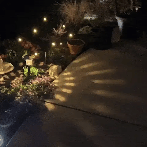 LED Firefly Lights Solar Powered (06 LEDs)